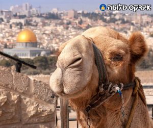 מלונות זולים מומלצים בירושלים